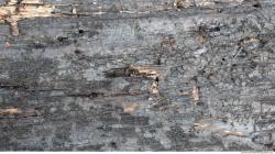 Photo Textures of Wood